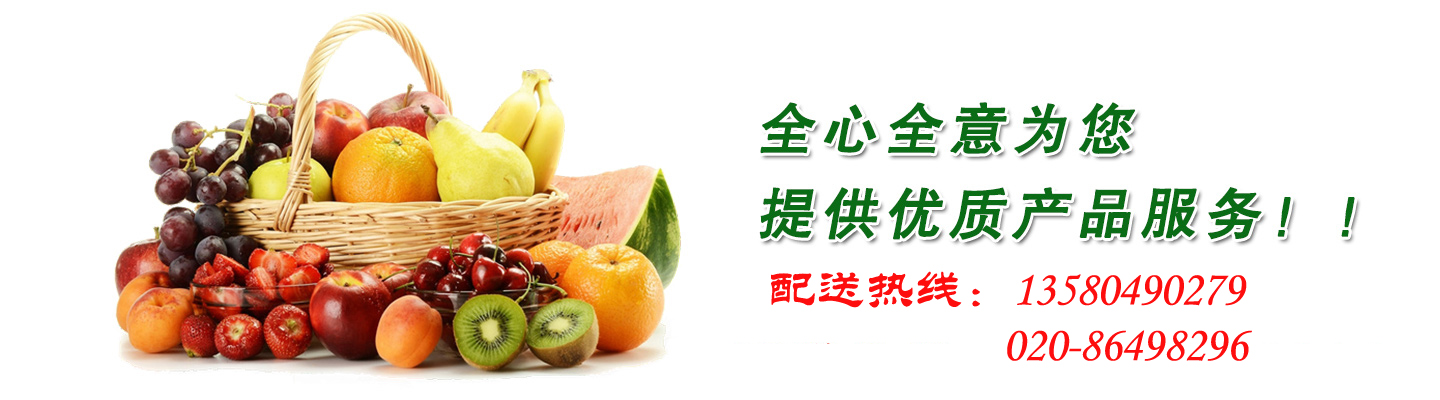 共展藍圖